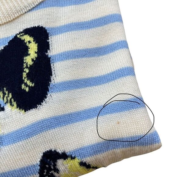 J.Crew Merino “Tippi” Wool Ivory Blue Crew Neck Striped Butterflies Sweater • XS - Picture 10 of 10